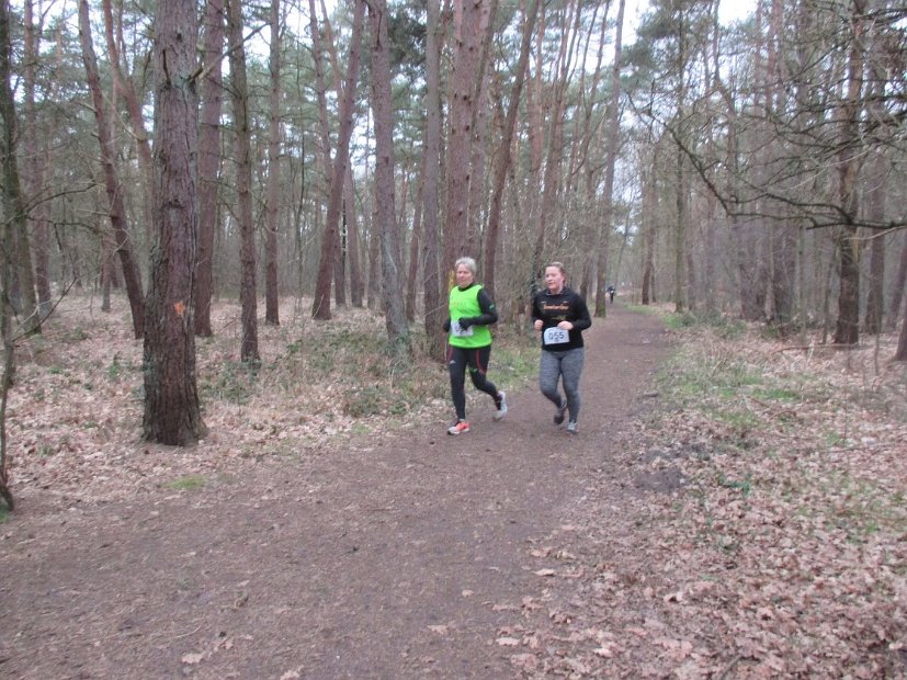 Bosloop Brecht - 02